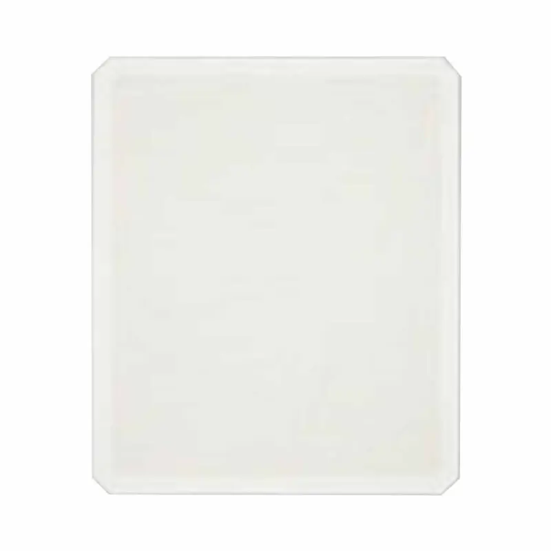 Epson DTG DTF Printer Australia Qld NSW Vic SA NT WA Tas C13S210118 Large Grip Pad